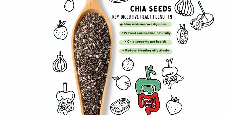 Spoonfull chia seeds along with a digestive system diagram and edible items.