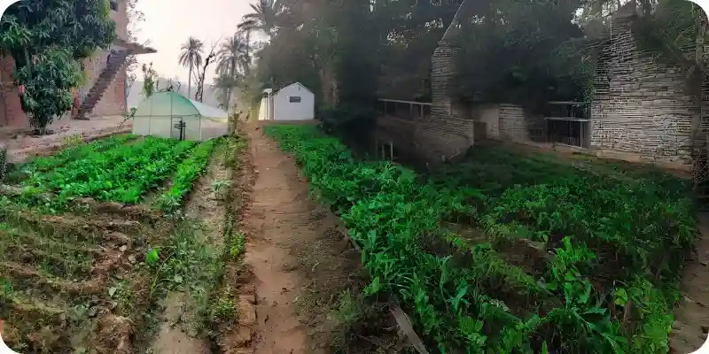 Rural Green house and fields