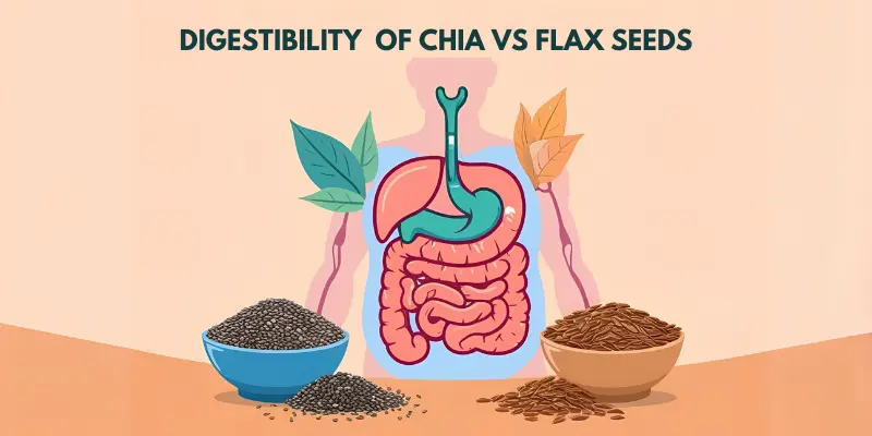 Seeds for soothing stomach