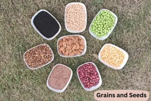 What Is the Difference Between a Grain and a Seed? - Post Thumbnail