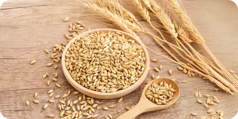 Harvested Wheat on Table