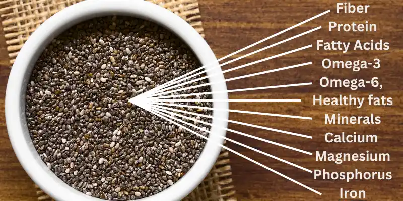 Chia seeds nutrition – What are chia seeds and their essential nutrients?