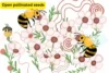 What Are Open-Pollinated Seeds? Benefits, Uses, and How They Differ from Hybrids - Post Thumbnail