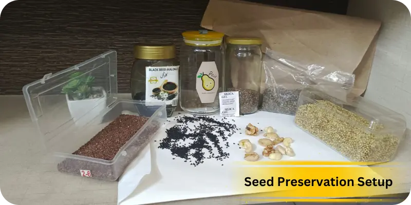 Best Seed Storing Containers With Seeds and Desiccants