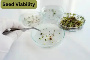 What is Seed Viability? A Complete Guide for Gardeners and Beginners - Post Thumbnail