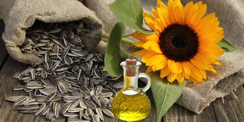 Sunflower seeds and oil