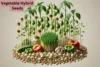 Hybrid Seeds: What They Are and How They Work - Post Thumbnail