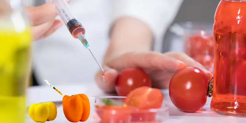 GMO vegetable seeds concept showing lab testing on tomatoes and bell peppers.