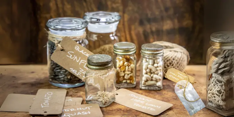 Assorted vegetable heirloom seeds stored in glass jars with handwritten tags.